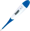 Thermometer